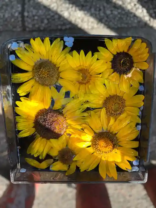 川越八幡宮(埼玉県)