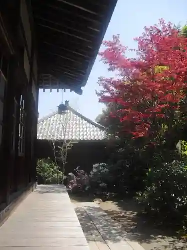 海蔵寺の庭園