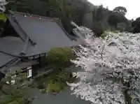 最明寺の本殿・本堂