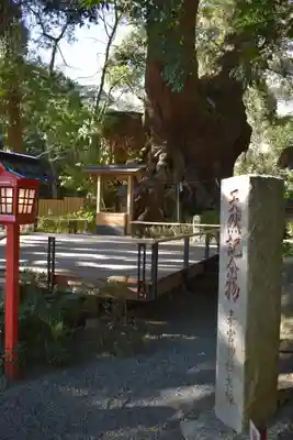 來宮神社のその他建物