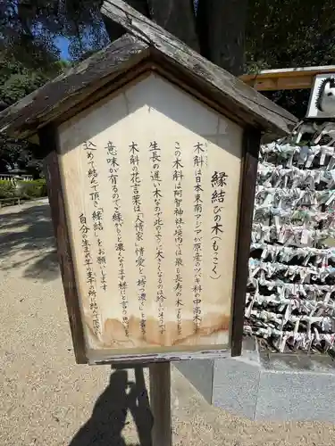 阿智神社(岡山県)