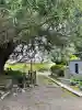 安養院 (田代寺)の{uncategorized: "未分類", other: "その他", undefined: "問題あり", building: "その他建物", grave: "お墓", sacred_gate: "鳥居", guardian: "狛犬", statue: "像", buddha: "仏像", history: "歴史", nature: "自然", garden: "庭園", animal: "動物", pagoda: "塔", temizu: "手水舎", mountain_gate: "山門・神門", sanctuary: "本殿・本堂", subordinate: "末社・摂社", art: "芸術", scenery: "景色", jizo: "地蔵", ema: "絵馬", goshuin: "御朱印", omikuji: "おみくじ", items: "授与品その他", amulet: "お守り", goshuincho: "御朱印帳", eats: "食事", festival: "お祭り", votive_dance: "神楽", shichigosan: "七五三参", wedding: "結婚式", experience: "体験その他", initially: "初詣", around: "周辺", anti_infection: "感染症対策"}