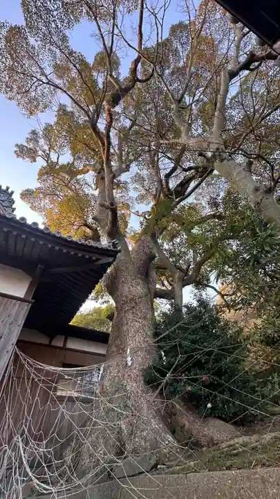 岩屋八幡神社(兵庫県)