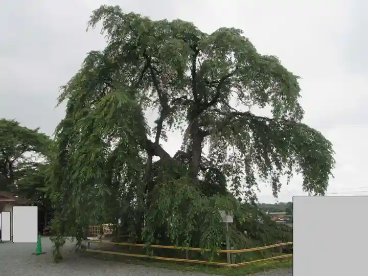 身照寺(岩手県)
