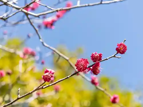 杉本寺(神奈川県)