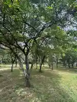 北辰神社(兵庫県)