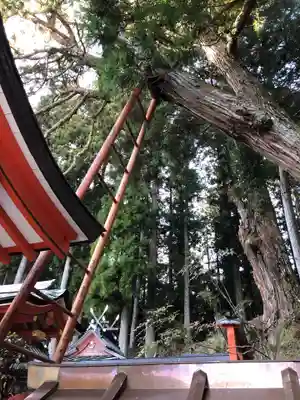 桜實神社(奈良県)