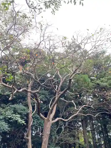 椿ノ海　水神社(千葉県)