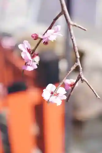 瀧宮神社(広島県)