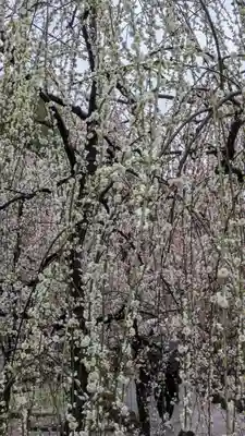 城南宮(京都府)