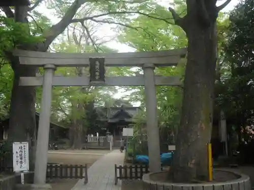 亀岡八幡宮（亀岡八幡神社）の鳥居