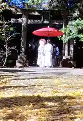 赤坂氷川神社(東京都)