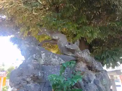 千住神社(東京都)