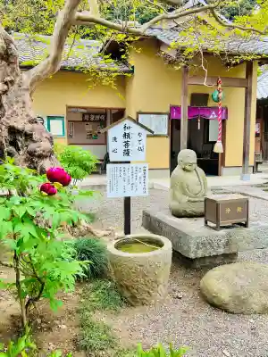 福厳寺の{uncategorized: "未分類", other: "その他", undefined: "問題あり", building: "その他建物", grave: "お墓", sacred_gate: "鳥居", guardian: "狛犬", statue: "像", buddha: "仏像", history: "歴史", nature: "自然", garden: "庭園", animal: "動物", pagoda: "塔", temizu: "手水舎", mountain_gate: "山門・神門", sanctuary: "本殿・本堂", subordinate: "末社・摂社", art: "芸術", scenery: "景色", jizo: "地蔵", ema: "絵馬", goshuin: "御朱印", omikuji: "おみくじ", items: "授与品その他", amulet: "お守り", goshuincho: "御朱印帳", eats: "食事", festival: "お祭り", votive_dance: "神楽", shichigosan: "七五三参", wedding: "結婚式", experience: "体験その他", initially: "初詣", around: "周辺", anti_infection: "感染症対策"}