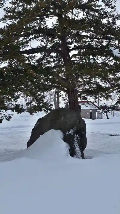 野幌神社の自然