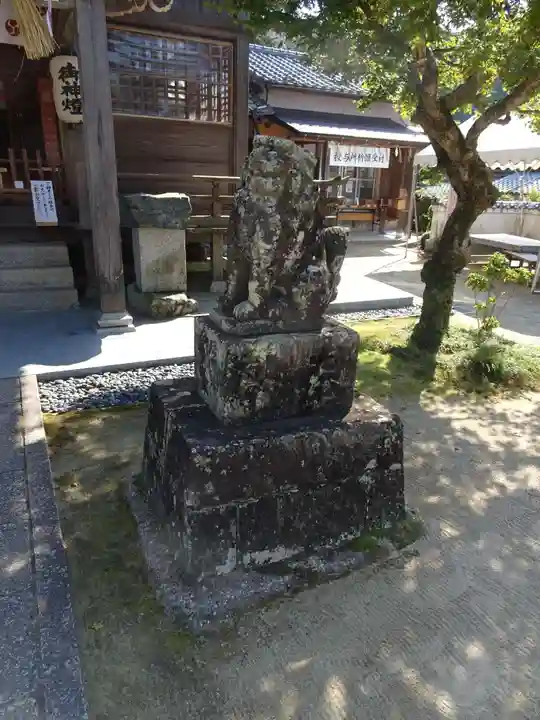白山神社の狛犬