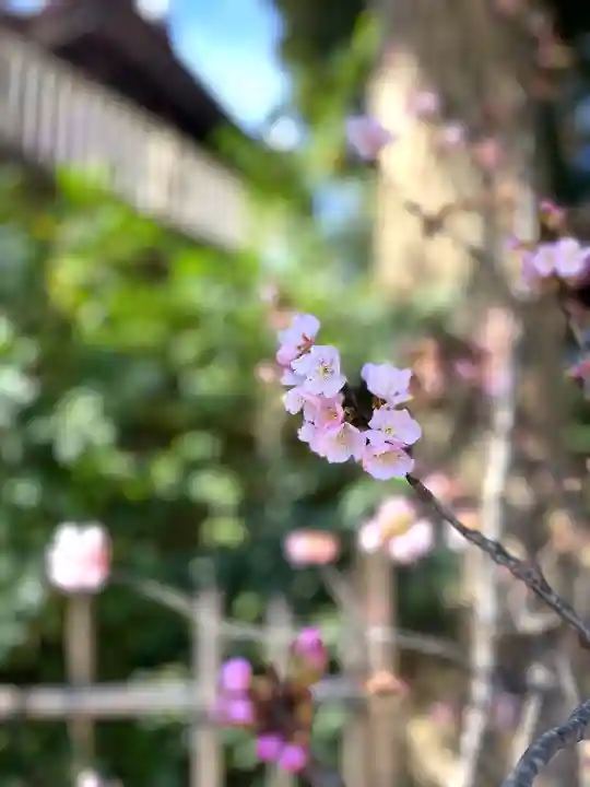 岩槻愛宕神社(埼玉県)