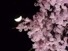 瀧桜神明宮の自然