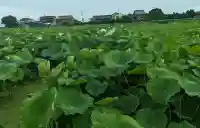 塩田神社(愛知県)
