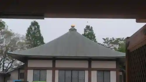 円林寺の本殿・本堂