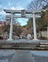 南湖神社の鳥居