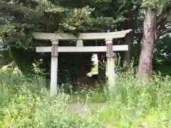 神社(名称不明)の鳥居