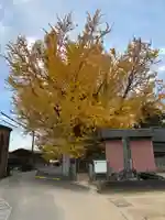 乳保神社(徳島県)