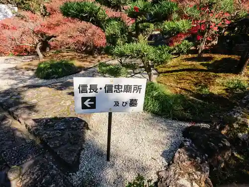 崇福寺の庭園