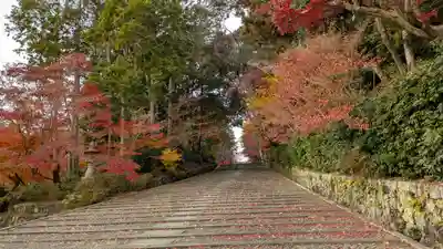 光明寺（粟生光明寺）(京都府)