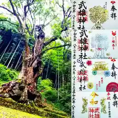 武雄神社(佐賀県)