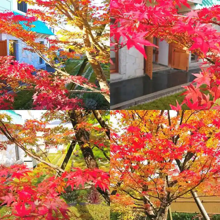 寿量山 速成寺の自然