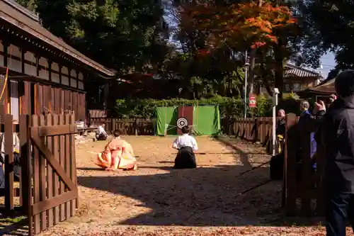 賀茂別雷神社（上賀茂神社）(京都府)