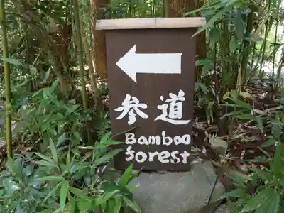 正伝護国禅寺(正伝寺･正傳寺)(京都府)