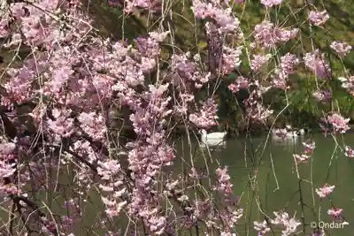 円通寺(兵庫県)