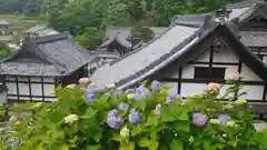 柳谷観音　楊谷寺の景色