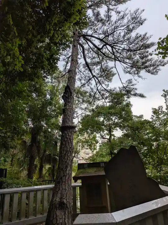 妙福寺(東京都)