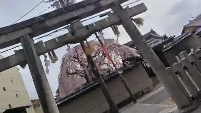 大将軍八神社(京都府)