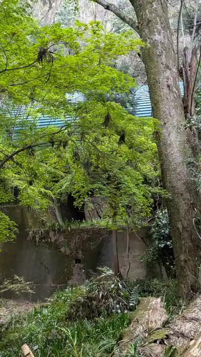 椎尾神社の自然