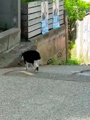 戸越八幡神社(東京都)