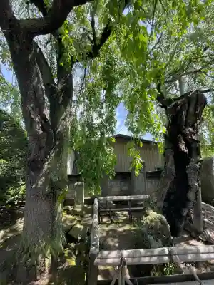 鏡石鹿嶋神社 ＊安産・開運・勝利の神さま＊の{uncategorized: "未分類", other: "その他", undefined: "問題あり", building: "その他建物", grave: "お墓", sacred_gate: "鳥居", guardian: "狛犬", statue: "像", buddha: "仏像", history: "歴史", nature: "自然", garden: "庭園", animal: "動物", pagoda: "塔", temizu: "手水舎", mountain_gate: "山門・神門", sanctuary: "本殿・本堂", subordinate: "末社・摂社", art: "芸術", scenery: "景色", jizo: "地蔵", ema: "絵馬", goshuin: "御朱印", omikuji: "おみくじ", items: "授与品その他", amulet: "お守り", goshuincho: "御朱印帳", eats: "食事", festival: "お祭り", votive_dance: "神楽", shichigosan: "七五三参", wedding: "結婚式", experience: "体験その他", initially: "初詣", around: "周辺", anti_infection: "感染症対策"}