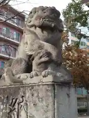 大棚・中川杉山神社の狛犬