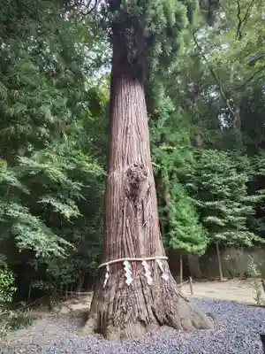 鹿嶋神社(福島県)