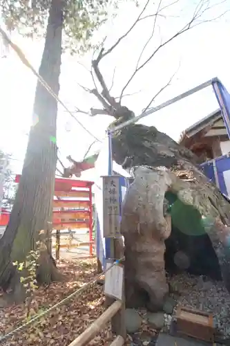 生島足島神社(長野県)