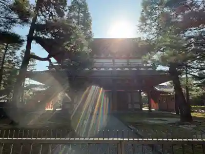 大徳寺(京都府)