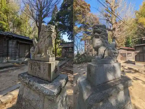 愛宕神社の狛犬