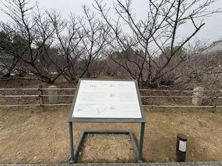 仁和寺の{uncategorized: "未分類", other: "その他", undefined: "問題あり", building: "その他建物", grave: "お墓", sacred_gate: "鳥居", guardian: "狛犬", statue: "像", buddha: "仏像", history: "歴史", nature: "自然", garden: "庭園", animal: "動物", pagoda: "塔", temizu: "手水舎", mountain_gate: "山門・神門", sanctuary: "本殿・本堂", subordinate: "末社・摂社", art: "芸術", scenery: "景色", jizo: "地蔵", ema: "絵馬", goshuin: "御朱印", omikuji: "おみくじ", items: "授与品その他", amulet: "お守り", goshuincho: "御朱印帳", eats: "食事", festival: "お祭り", votive_dance: "神楽", shichigosan: "七五三参", wedding: "結婚式", experience: "体験その他", initially: "初詣", around: "周辺", anti_infection: "感染症対策"}