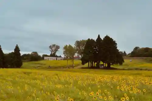 沢山神社（澤山神社)(新潟県)