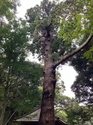 八幡神社(千葉県)