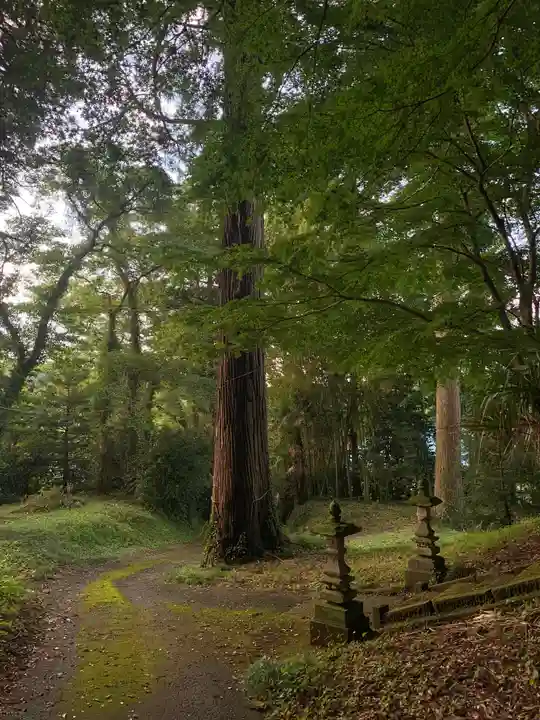 天神社(千葉県)
