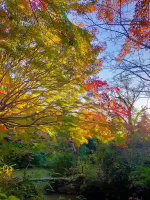不退寺(奈良県)